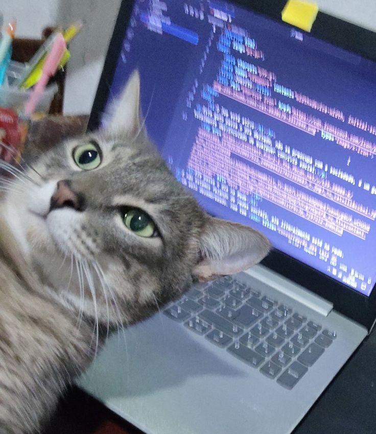 Minha foto